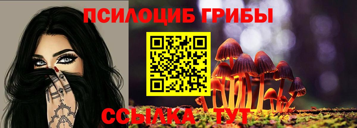 Кимры  Псилоцибиновые грибы GOLDEN TEACHER  Вход с VPN 